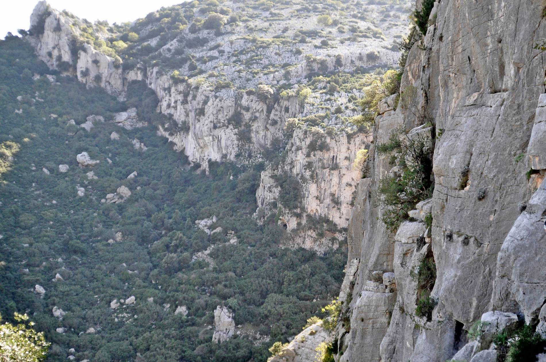 Braccio di Ferro